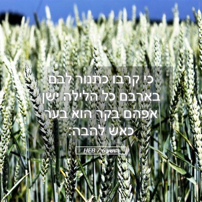 Picture 05 - הושע 7:6 HEB - כי קרבו כתנור לבם בארבם כל - Bible Verse Picture