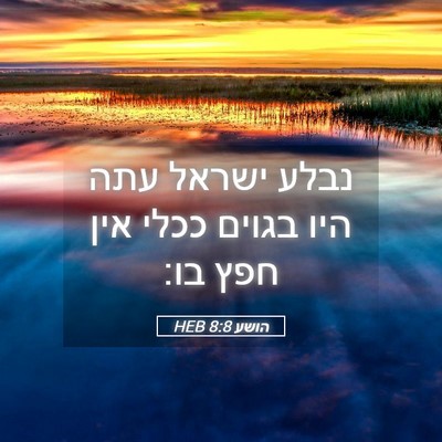 Picture 05 - הושע 8:8 HEB - נבלע ישראל עתה היו בגוים - Bible Verse Picture