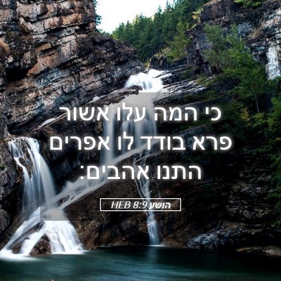 Picture 05 - הושע 8:9 HEB - כי המה עלו אשור פרא בודד לו - Bible Verse Picture