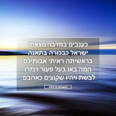 Picture 05 - הושע 9:10 HEB - כענבים במדבר מצאתי ישראל - Bible Verse Picture