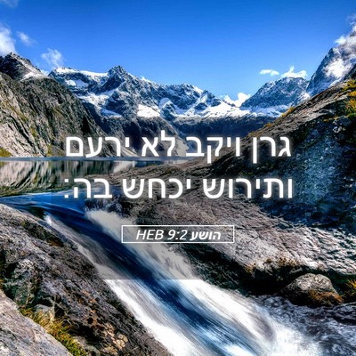 Picture 05 - הושע 9:2 HEB - גרן ויקב לא ירעם ותירוש - Bible Verse Picture