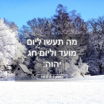 Picture 05 - הושע 9:5 HEB - מה תעשו ליום מועד וליום חג - Bible Verse Picture