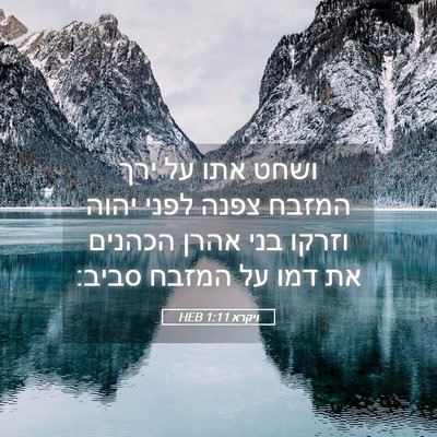Picture 05 - ויקרא 1:11 HEB - ושחט אתו על ירך המזבח צפנה - Bible Verse Picture
