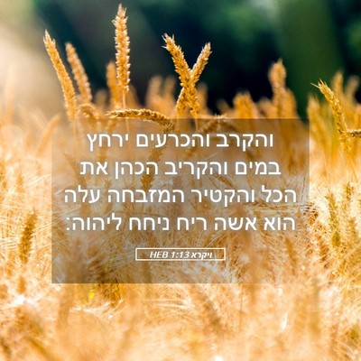 Picture 05 - ויקרא 1:13 HEB - והקרב והכרעים ירחץ במים - Bible Verse Picture