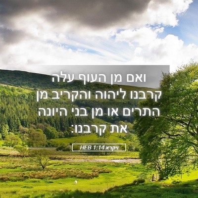 Picture 05 - ויקרא 1:14 HEB - ואם מן העוף עלה קרבנו ליהוה - Bible Verse Picture