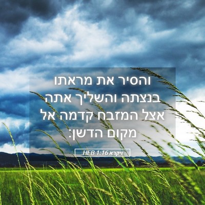 Picture 05 - ויקרא 1:16 HEB - והסיר את מראתו בנצתה - Bible Verse Picture