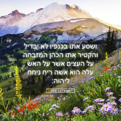 Picture 05 - ויקרא 1:17 HEB - ושסע אתו בכנפיו לא יבדיל - Bible Verse Picture