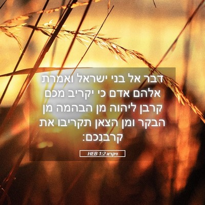 Picture 05 - ויקרא 1:2 HEB - דבר אל בני ישראל ואמרת אלהם - Bible Verse Picture