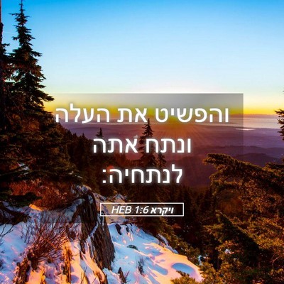 Picture 05 - ויקרא 1:6 HEB - והפשיט את העלה ונתח אתה - Bible Verse Picture