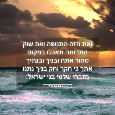 Picture 05 - ויקרא 10:14 HEB - ואת חזה התנופה ואת שוק - Bible Verse Picture