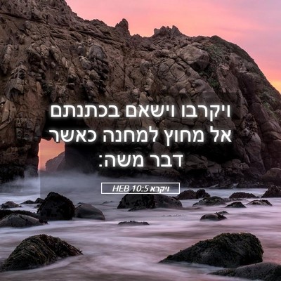 Picture 05 - ויקרא 10:5 HEB - ויקרבו וישאם בכתנתם אל - Bible Verse Picture