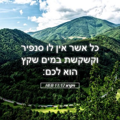 Picture 05 - ויקרא 11:12 HEB - כל אשר אין לו סנפיר וקשקשת - Bible Verse Picture