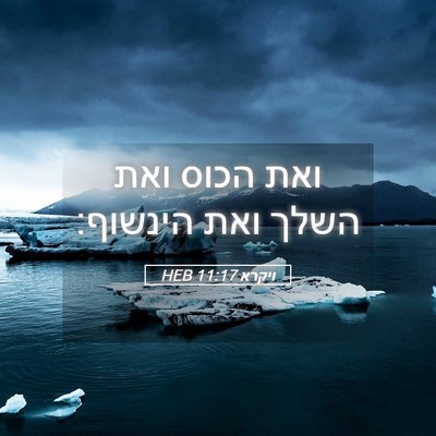 Picture 05 - ויקרא 11:17 HEB - ואת הכוס ואת השלך ואת - Bible Verse Picture