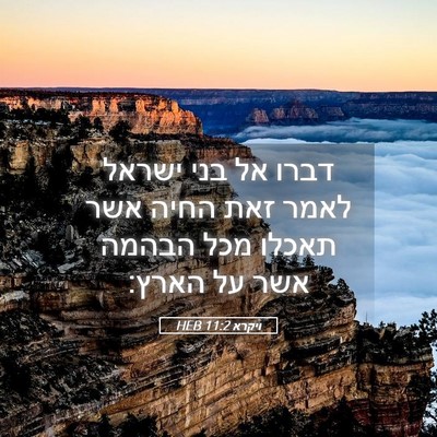 Picture 05 - ויקרא 11:2 HEB - דברו אל בני ישראל לאמר זאת - Bible Verse Picture