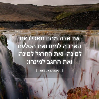 Picture 05 - ויקרא 11:22 HEB - את אלה מהם תאכלו את הארבה - Bible Verse Picture