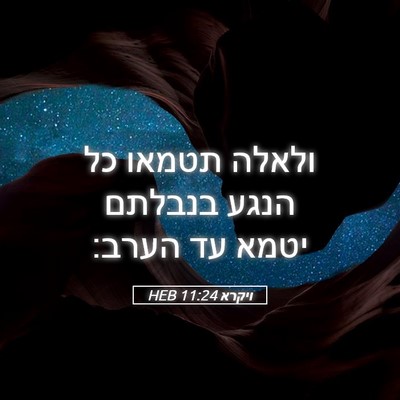 Picture 05 - ויקרא 11:24 HEB - ולאלה תטמאו כל הנגע בנבלתם - Bible Verse Picture