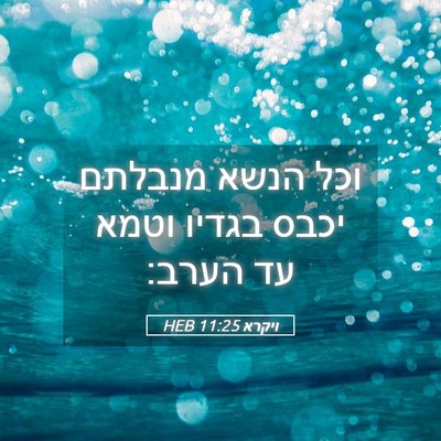 Picture 05 - ויקרא 11:25 HEB - וכל הנשא מנבלתם יכבס בגדיו - Bible Verse Picture