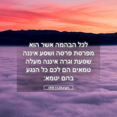 Picture 05 - ויקרא 11:26 HEB - לכל הבהמה אשר הוא מפרסת - Bible Verse Picture