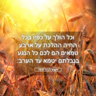 Picture 05 - ויקרא 11:27 HEB - וכל הולך על כפיו בכל החיה - Bible Verse Picture