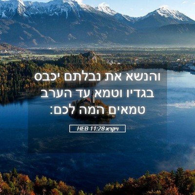 Picture 05 - ויקרא 11:28 HEB - והנשא את נבלתם יכבס בגדיו - Bible Verse Picture