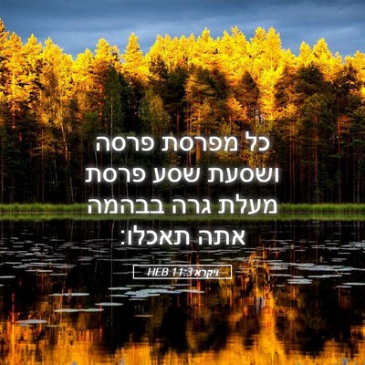Picture 05 - ויקרא 11:3 HEB - כל מפרסת פרסה ושסעת שסע - Bible Verse Picture