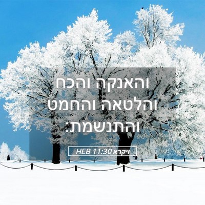 Picture 05 - ויקרא 11:30 HEB - והאנקה והכח והלטאה והחמט - Bible Verse Picture