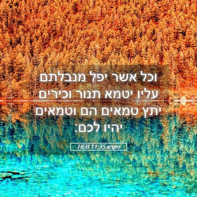 Picture 05 - ויקרא 11:35 HEB - וכל אשר יפל מנבלתם עליו - Bible Verse Picture