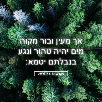 Picture 05 - ויקרא 11:36 HEB - אך מעין ובור מקוה מים יהיה - Bible Verse Picture
