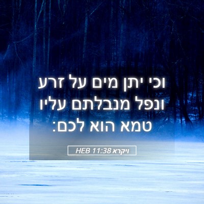 Picture 05 - ויקרא 11:38 HEB - וכי יתן מים על זרע ונפל - Bible Verse Picture