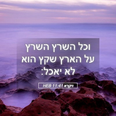 Picture 05 - ויקרא 11:41 HEB - וכל השרץ השרץ על הארץ שקץ - Bible Verse Picture