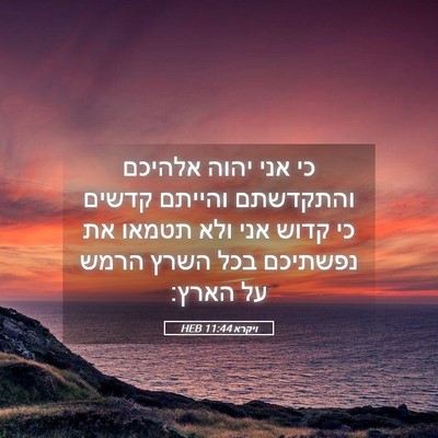 Picture 05 - ויקרא 11:44 HEB - כי אני יהוה אלהיכם - Bible Verse Picture