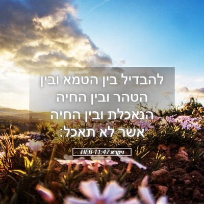 Picture 05 - ויקרא 11:47 HEB - להבדיל בין הטמא ובין הטהר - Bible Verse Picture