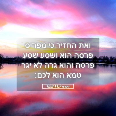 Picture 05 - ויקרא 11:7 HEB - ואת החזיר כי מפריס פרסה הוא - Bible Verse Picture
