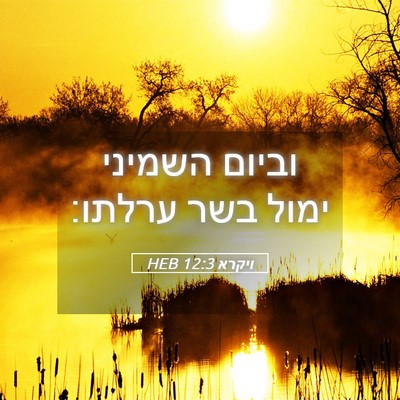 Picture 05 - ויקרא 12:3 HEB - וביום השמיני ימול בשר - Bible Verse Picture