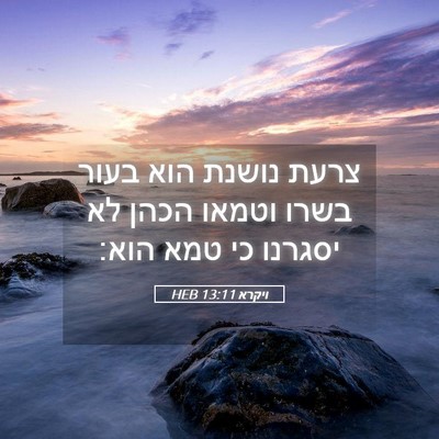 Picture 05 - ויקרא 13:11 HEB - צרעת נושנת הוא בעור בשרו - Bible Verse Picture
