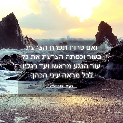 Picture 05 - ויקרא 13:12 HEB - ואם פרוח תפרח הצרעת בעור - Bible Verse Picture