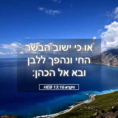 Picture 05 - ויקרא 13:16 HEB - או כי ישוב הבשר החי ונהפך - Bible Verse Picture