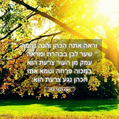 Picture 05 - ויקרא 13:25 HEB - וראה אתה הכהן והנה נהפך שער - Bible Verse Picture