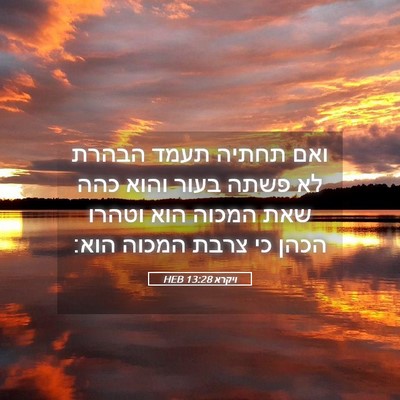 Picture 05 - ויקרא 13:28 HEB - ואם תחתיה תעמד הבהרת לא - Bible Verse Picture