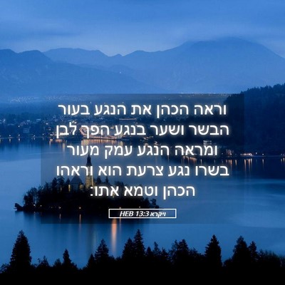 Picture 05 - ויקרא 13:3 HEB - וראה הכהן את הנגע בעור הבשר - Bible Verse Picture