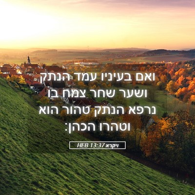 Picture 05 - ויקרא 13:37 HEB - ואם בעיניו עמד הנתק ושער - Bible Verse Picture