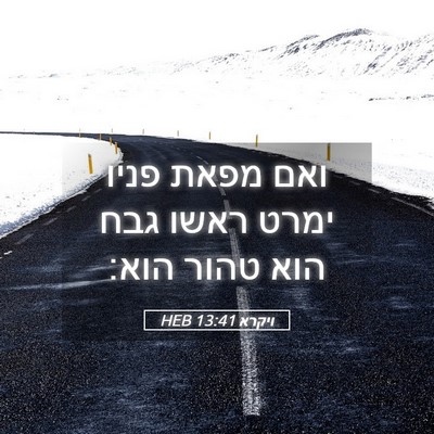 Picture 05 - ויקרא 13:41 HEB - ואם מפאת פניו ימרט ראשו גבח - Bible Verse Picture