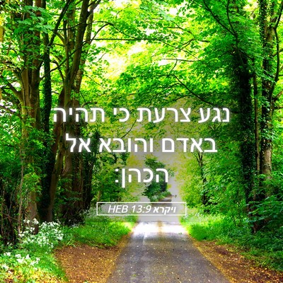 Picture 05 - ויקרא 13:9 HEB - נגע צרעת כי תהיה באדם והובא - Bible Verse Picture