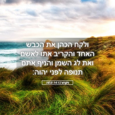 Picture 05 - ויקרא 14:12 HEB - ולקח הכהן את הכבש האחד - Bible Verse Picture