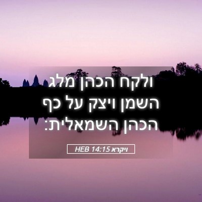 Picture 05 - ויקרא 14:15 HEB - ולקח הכהן מלג השמן ויצק על - Bible Verse Picture