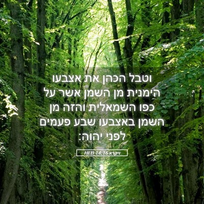 Picture 05 - ויקרא 14:16 HEB - וטבל הכהן את אצבעו הימנית - Bible Verse Picture