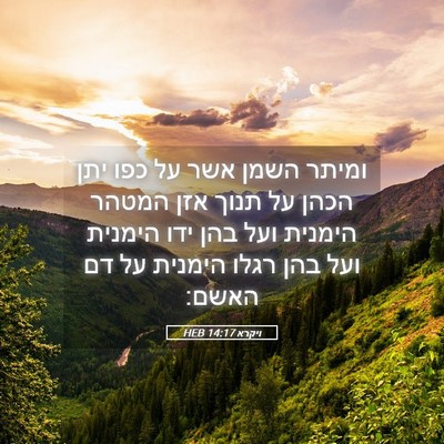 Picture 05 - ויקרא 14:17 HEB - ומיתר השמן אשר על כפו יתן - Bible Verse Picture