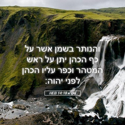Picture 05 - ויקרא 14:18 HEB - והנותר בשמן אשר על כף הכהן - Bible Verse Picture