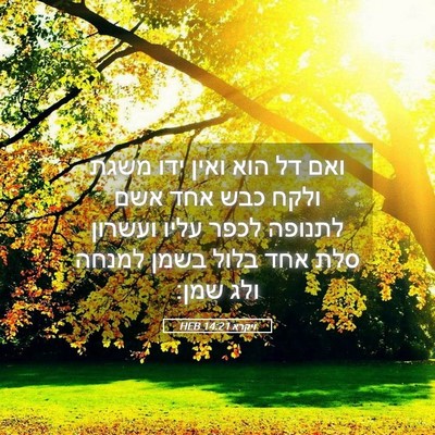Picture 05 - ויקרא 14:21 HEB - ואם דל הוא ואין ידו משגת - Bible Verse Picture