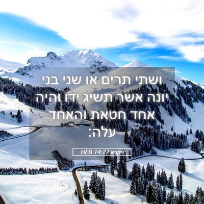 Picture 05 - ויקרא 14:22 HEB - ושתי תרים או שני בני יונה - Bible Verse Picture